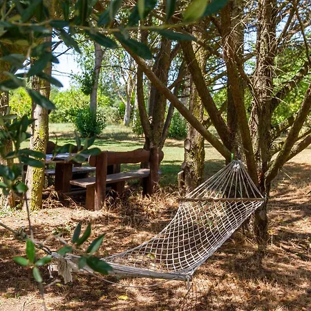 Bilo Hedera Farm stay *