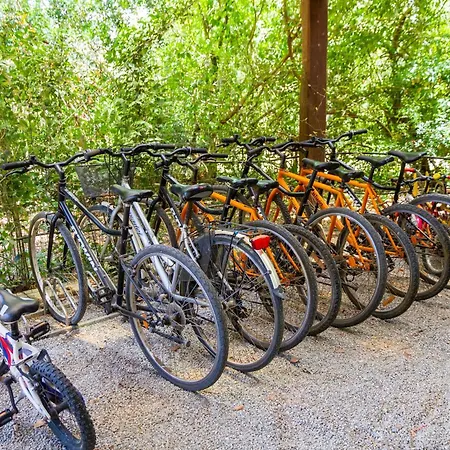 Bilo Hedera Farm stay