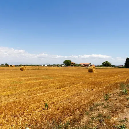 Bilo Hedera * Marina di Grosseto