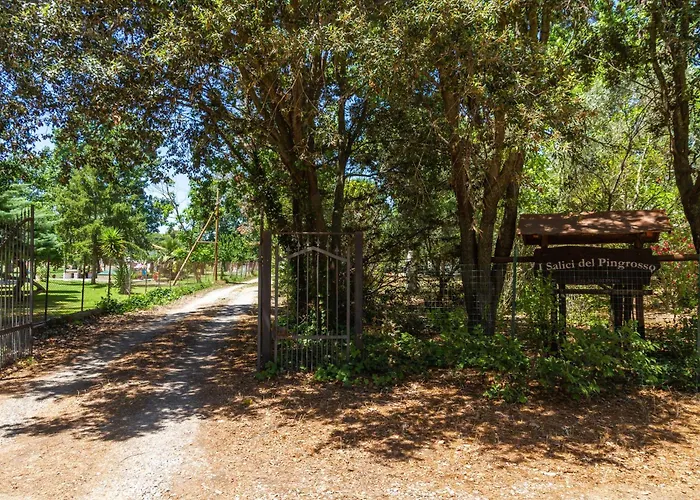 Bilo Hedera Marina di Grosseto